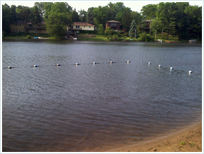 Services - Habitat and Shoreline Restoration